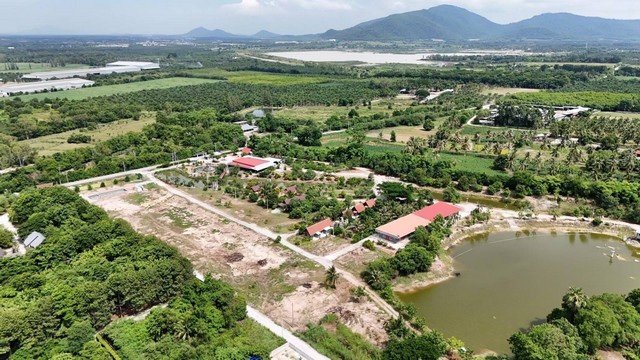 ขายที่ดินบ้านบึงชลบุรี ขายที่ดิน 8 ไร่ 1 งาน 77 ตารางวา ที่ดินตัดเป็นล็อคละ 1 ไร่หรือซื้อยกแปลงได้