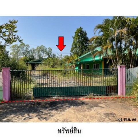 ขายโรงงาน/โกดัง ถนน ทางหลวงชนบทแสนสำราญ-เหล่าถาวร (นค.3217) ตำบล วิศิษฐ์ อำเภอ เมืองบึงกาฬ จังหวัด บึงกาฬ