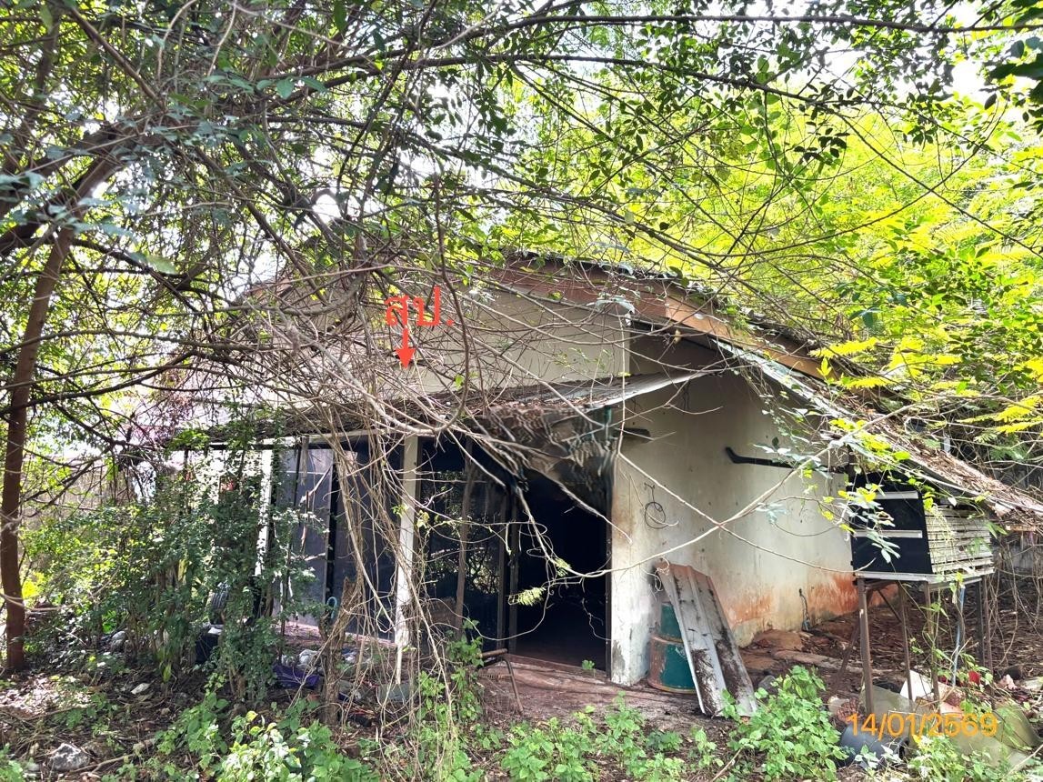 ขาย บ้านเดี่ยว สุราษฎร์ธานี อำเภอ เมืองสุราษฎร์ธานี จังหวัด สุราษฎร์ธานี