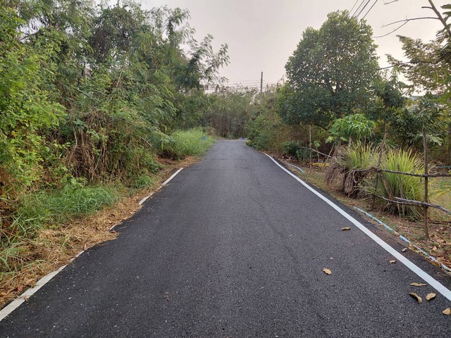 ฝากไว้ให้พิจารณานะคะ บ้าน2 ชั้น 90 ตร.วา บ ต.บ้านใหม่  อ.บางใหญ่ จ.นนทบุรี ขาย 5.3 ลบ.  เช่า 30000 บาท/เดือน