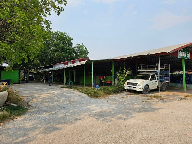 ขายโกดัง 6 ไร่ 1 งาน 51 ตร.ว ผาน้อย วังสะพุง จังหวัดเลย