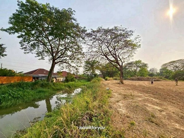 ที่ดินแปลงสวย ติดน้ำ บรรยากาศธรรมชาติ ทำเลดี สันทราย