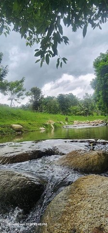 ขายที่ 1 ไร่ ที่ติดน้ำ ตรว.ละ 17600 บ้านปง หางดง