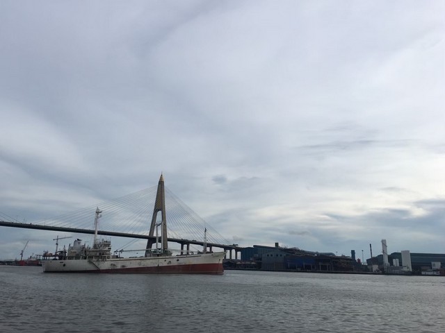 ขายที่ดินติดแม่น้ำเจ้าพระยา 23 -1-20 ไร่  พื้นที่สีม่วงหน้ากว้าง 56 เมตร ติดแม่น้ำ (สามารถสร้างท่าเรือได้)