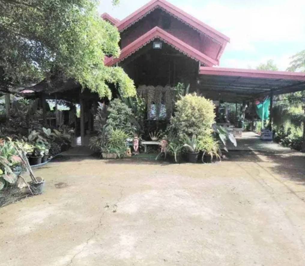 ขายที่ดินทำเลดี 2 ไร่ 3 งาน เจ้าของขายเอง คลอง13 หนองจอก ฝั่งตะวันออก   กทม