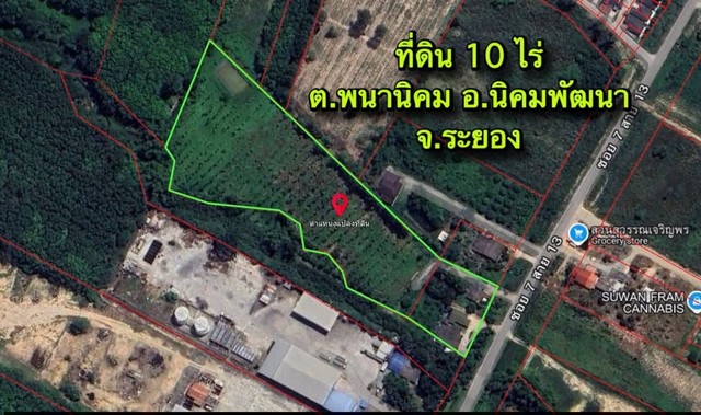ขายที่ดินระยองเนื้อที่ 10 ไร่ ต.พนานิคม อ.นิคมพัฒนา จ.ระยอง ผังสีม่วงลาย