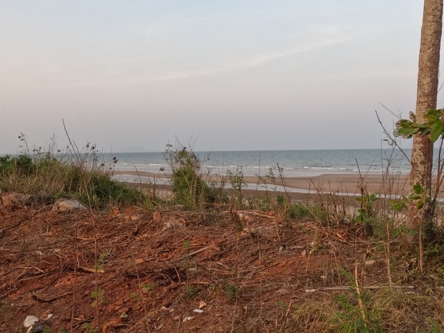 สู่ยุคหาที่ทำเกษตรเศรฐกิจ ที่ติดทะเล ฝั่งแดง ขายราคาไร่ล่ะ 3.5 ล้านบาท โฉนดครุฑแดง พร้อมโอน