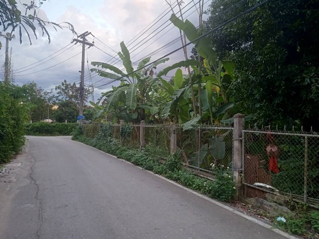 ขายที่ดิน 451ตรว. ลดเหลือ 8ลบ. มีรั้วรอบ ถนน น้ำประปา ไฟฟ้า เยื้องปั๊ม ปตท.ถนนต้นยาง ต.หนองผึ้ง อ.สารภี เชียงใหม่
