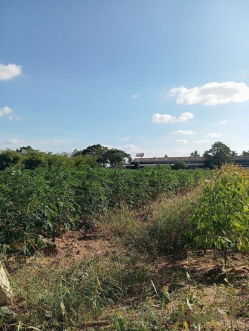 ขายที่ดินนิคมอุตสาหกรรม WHA2 แปลงสวย ทำเลดีมาก FP-H01833