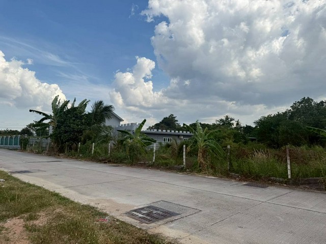 ขายที่ดินเปล่า 4ไร่ 3 งาน 15 ตร.ว  ซอยชัยพฤกษ์2สนามกีฬา