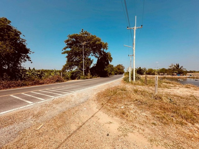 ขายที่ดิน ขนาดพื้นที่รวม 12-1-77 ไร่ ตำบลสระพัฒนา อำเภอกำแพงแสน  จังหวัดนครปฐม