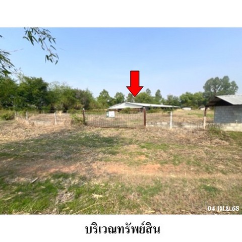 ขายฟาร์มเลี้ยงสัตว์ ถนน สายด่านขุนทด-หนองสรวง (ทล.2148) ตำบล หนองสรวง อำเภอ ขามทะเลสอ จังหวัด นครราชสีมา