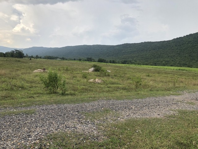 ใกล้ปีใหม่ดูทรัพย์มีมูลค่า ขายที่ดินสวยติดภูเขา เทือกเขายาวเรียงแนว ดินดีสมบูรณ์ทรัพย์ในดิน ฟ้าใสวิวหลักล้าน ต.นาจาน อ.สีชมพู จ.ขอนแก่น