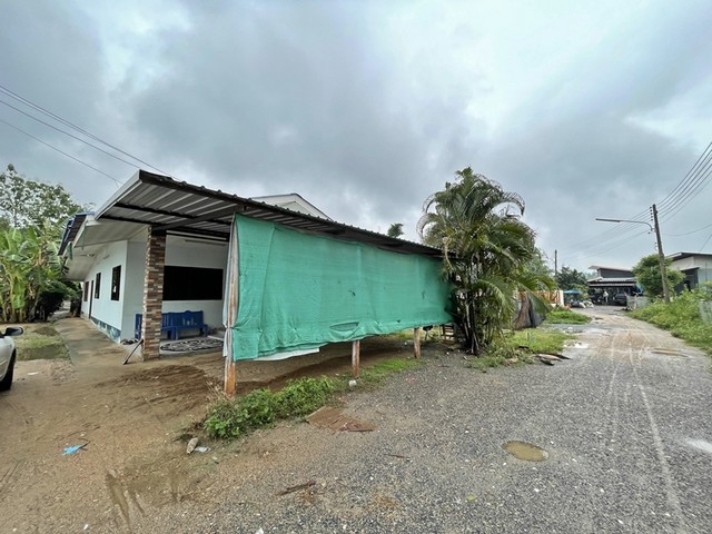 ขายบ้านเดี่ยว   อำเภอสันป่าตอง ถนนป่าลาน - บ้านดอนแก้ว แยกจากบ้านทุ่งเสี่ยว - บ้านเปียง เชียงใหม่