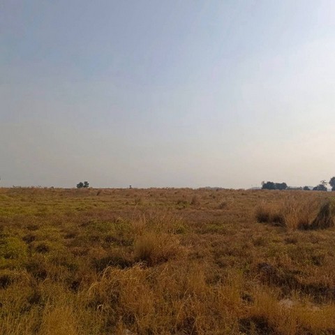 ขายที่ดินเปล่าบ่อวิน ศรีราชา ทำเลดี ใกล้นิคมอมตะซิตี้ FP-L01596