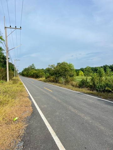 รหัส  - ขายด่วน! ที่ดิน - 700000 -  ขนาด = 0 ไร่ 0 งาน 200 ตร.วา ไม่ไกลจาก ถนนลาดยาง คลอง9 หนองเสือ วังน้อยอยุธยา คลองรพีพัฒน์ เข้าอยู่ได้ทันที