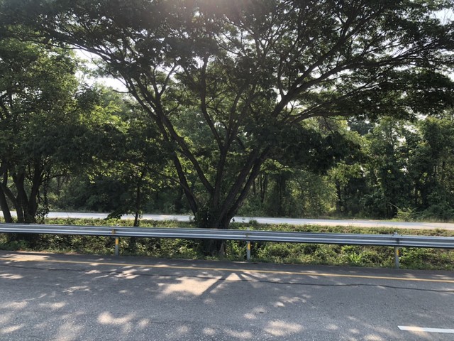 บอกขายที่ดินทำเลดีราคาคุยได้  เมืองบ้านตากจังหวัดตาก  3-1-40 ไร่ ติดถนนเอเซีย AH1 ติดถนนพหลโยธิน ไร่ 3ลบ. โทร 096-8821857