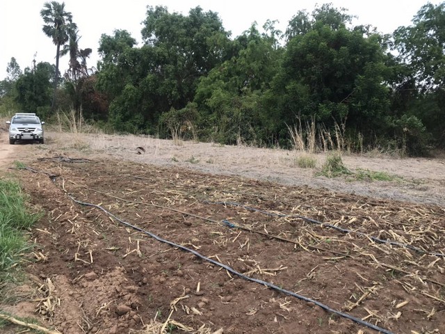 รีบหาที่ทางทำเกษตรพอเพียง ขายที่สวยติดแม่น้ำน่าน ชุมแสง  จ.นครสวรรค์ 300000 บาท.วิวแม่น้ำเกษตรดีงามสวยสมบูรณ์