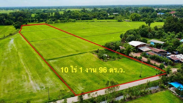 ขายที่ดิน พิจิตร สากเหล็ก หนองหญ้าไทร  พื้นที่ 10-1-96  ตารางวา