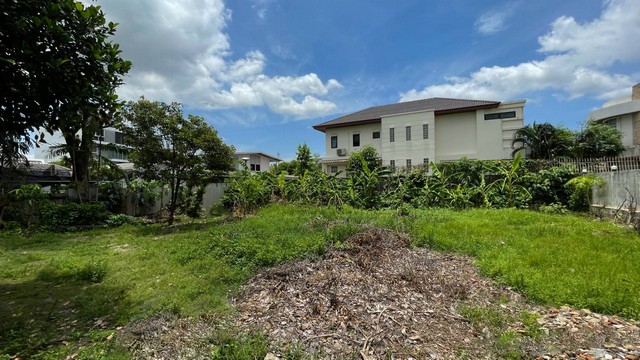 ขายที่ดิน 282 ตร.ว. ย่านพระโขนง ถ.สุขุมวิท 71 ซ.ปรีดีพนมยงค์ 14 ใกล้ BTS พระโขนง