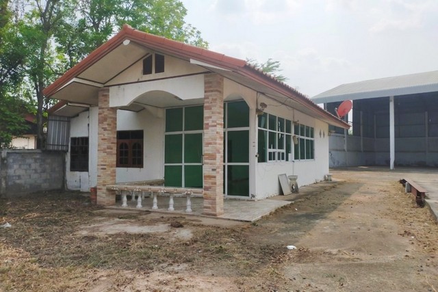 ขายบ้านเดี่ยว 1 ชั้น และโกดัง ถนนบ้านนาโพธิ์-บ้านตอนกอก จังหวัดบุรีรัมย์