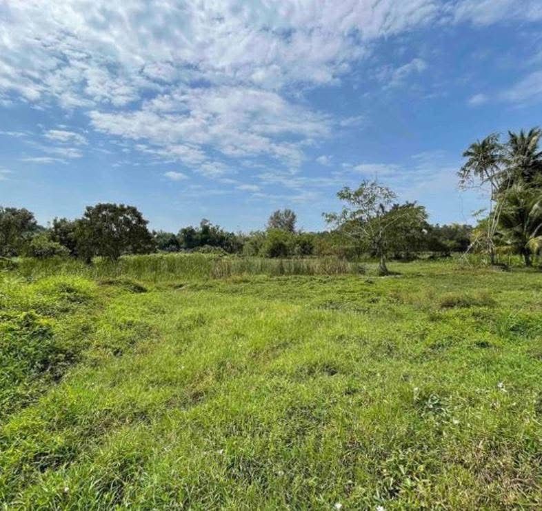 ขายด่วนที่ดินเปล่า แปลงใหญ่ ทำเลดี ลิปาน้อย สุราษฎร์ธานี