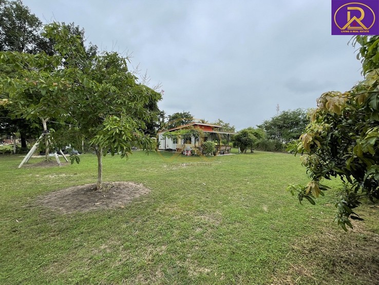 ขายบ้านสวน บ้านพัก 1-2-33 ไร่ พร้อมผลไม้ หลากหลายชนิด ทำเลดี เหมาะสำหรับพักผ่อน ต.บ้านสวน อ.เมืองชลบุรี จ.ชลบุรี