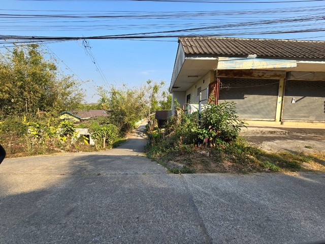 ขายโกดังชั้นเดียว 172.9 ตร.ว ถนนเชียงราย-เทิง เมืองเชียงราย