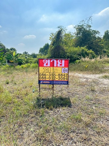 ขายที่ดิน 380 ตารางวา  มาบไผ่  บ้านบึง  ชลบุรี    ZT860