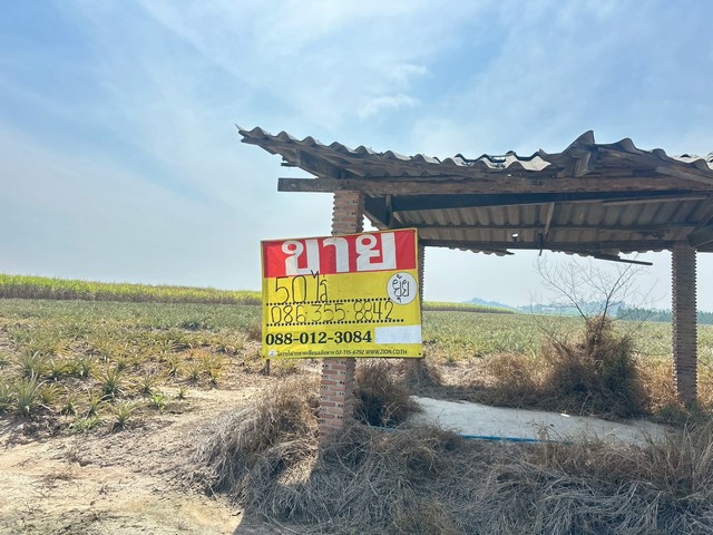 ขายที่ดิน 50 ไร่  ซอยโรงเรียนบ้านตาลดำ หนองอิรุณ  บ้านบึง  ชลบุรี  ZT890