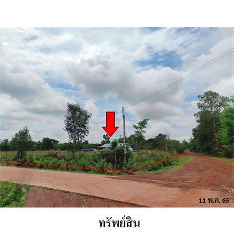 ขายที่ดินว่างเปล่า ถนน โคกสว่าง 2 ตำบล สว่างแดนดิน อำเภอ สว่างแดนดิน จังหวัด สกลนคร