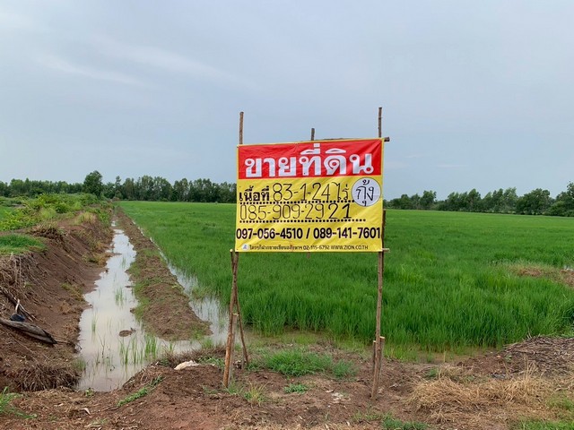 ขายที่ดินผืนใหญ่  83 ไร่ 1 งาน 24 ตร.ว. ทำเลดี ใกล้ตัวเมืองปราจีนบุรี หน้ากว้างติดถนนประมาณ 240 เมตร ทำเลศักยภาพสูงใน ท่างาม เมืองปราจีนบุรี