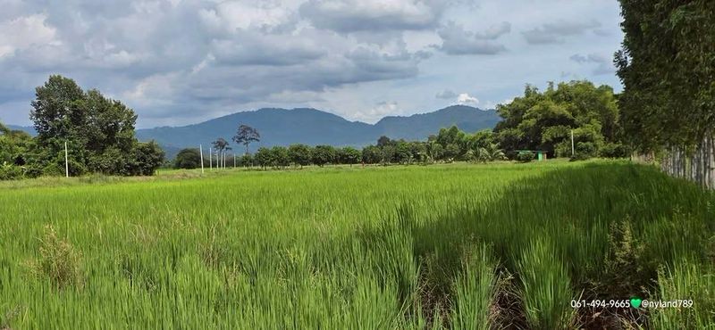 ขายที่ดินสวย ติดถนนลาดยาง วิวภูเขา มีสวนผลไม้ ต.เขาเพิ่ม อ.บ้านนา จ.นครนายก