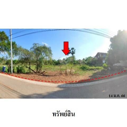 ขายที่ดินว่างเปล่า ถนน สายเซกา-อากาศอำนวย (ทล.2094) ตำบล เซกา อำเภอ เซกา จังหวัด บึงกาฬ