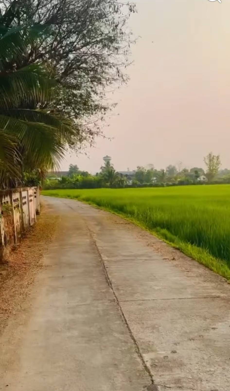 ขายที่ดินแปลงสวย ทำเลดี ตำบลสันกลาง อำเภอพาน จังหวัดเชียงราย เดินทางสะดวก ใกล้ถนนสายหลัก