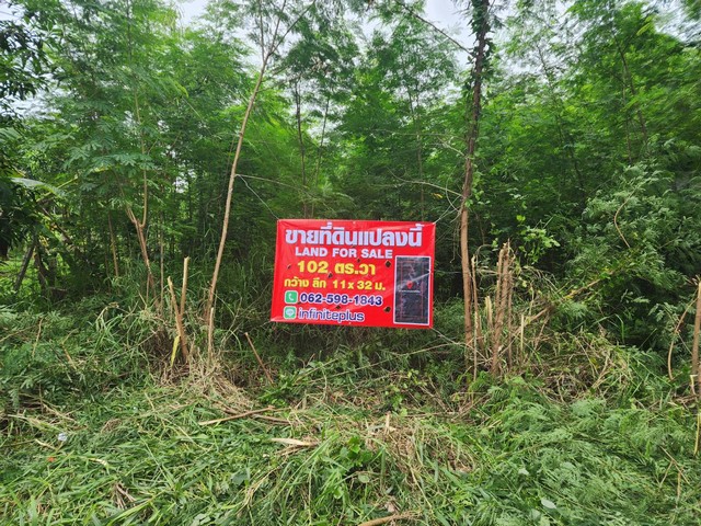 พื้นที่ดิน -  1300000 THAI BAHT   ราคาคุ้ม