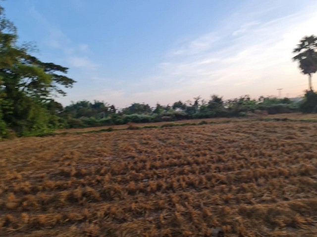 รวมบ้านที่ดินดีงามเพื่อคุณ  ที่ติดแม่น้ำโขง ต.กุดบง อ.โพนพิสัย จ.หนองคาย  หลังติดแม่น้ำโขง ไร่ละ 2ล้านบาท โทร 096-882-1857