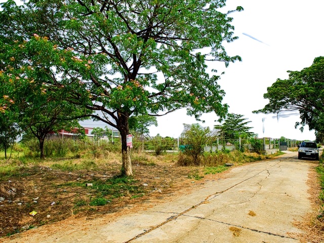 ขายที่ดินเปล่า 407 ตรว. ในหมู่บ้าน K C Garden Home ย่านมีนบุรี ซอยนิมิตรใหม่ 40 อากาศสิ่งแวดล้อมดี ภายในโครงการมีสาธารณูปโภคครบครัน