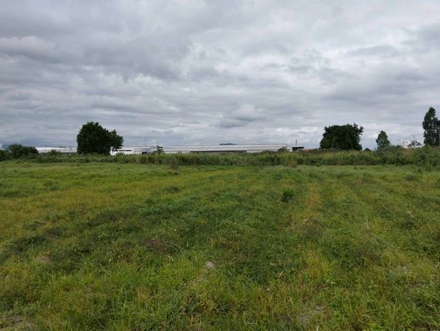 ขายที่ดินหนองขาม ศรีราชา แปลงสวย ติดนิคมอุตสาหกรรมปิ่นทอง 1 FP-L01712