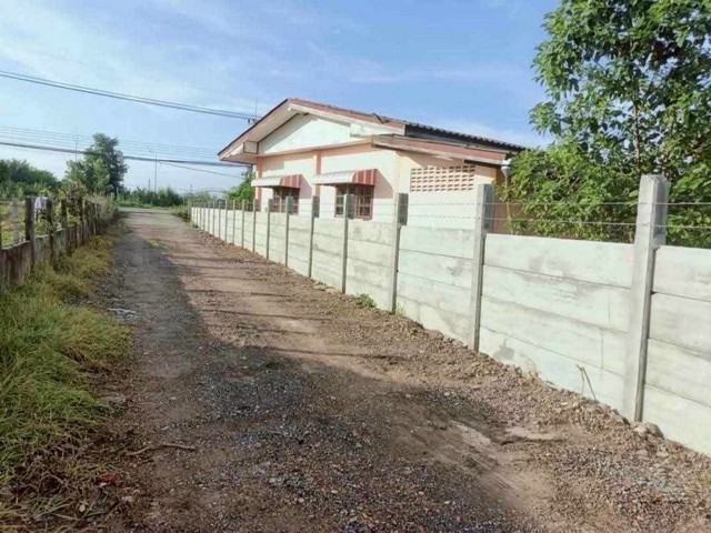 ที่ดิน - พื้นที่ =  100 sq.wa  ใกล้ ปั๊มปตท. ตลาด หนองเสือ หนองหมู วิหารแดง น่าอยู่