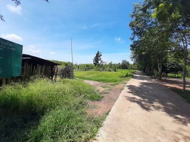 ขายที่ดิน 22-2-58ไร่ 3ล้านบาท ต.บ้านกล้วย อ.ชนแดน เพชรบูรณ์