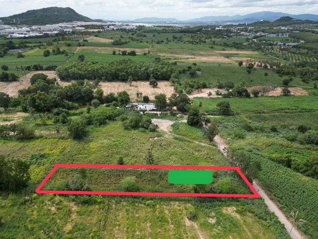 ขายที่ดิน บ่อวิน ศรีราชา ใกล้นิคมปิ่นทอง3 ซอยวัดบ่อวิน-ยางเอน ติดถนน TP-L1845