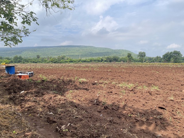 ขายที่ดิน 16ไร่ 1งาน45ตารางวา  ต.เพนียด อ.โคกสำโรง จ.ลพบุรี