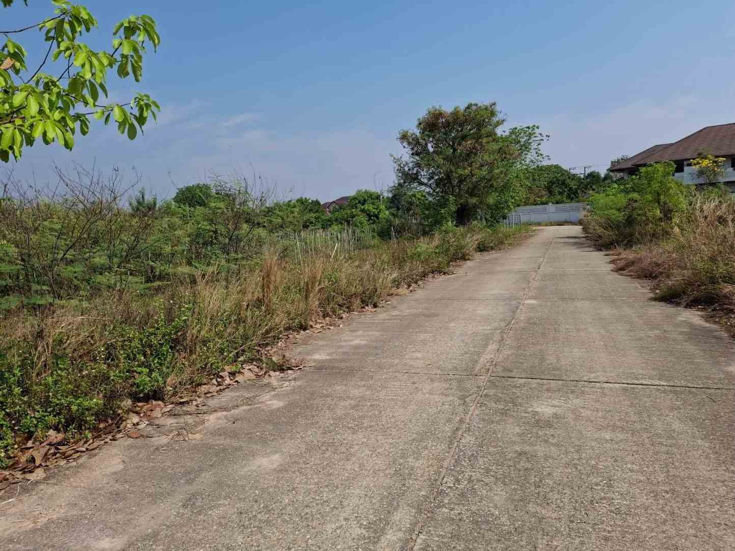 ขายที่ดินเปล่า อยู่ในโครงการจัดสรรพรพรหมพาราไดซ์(เดิม) อ.หางดง จ.เชียงใหม่